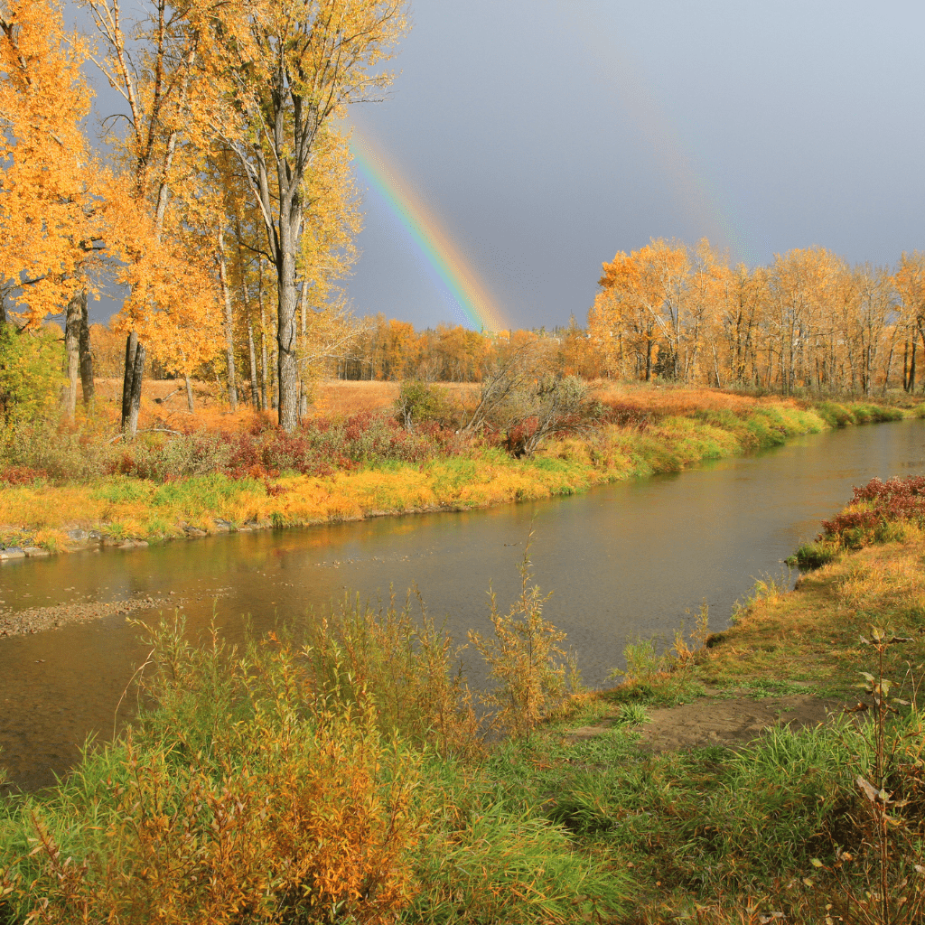 Fish Creek Provincial Park