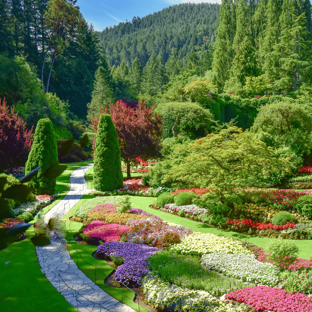 The gardens at Butchart (Brentwood Bay)